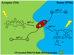 Graphical abstract: Impact of solvent processing on the PM6/Y6 morphology and charge transfer in organic solar cells