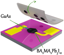 Graphical abstract: Van der Waals integration of phase-pure 2D perovskite sheets and GaAs nanowires for self-driven photodetector