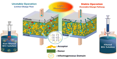 Graphical abstract: Homogeneous bulk heterojunction domains with continuous charge pathway via hydrophobic membrane filtration for stable photo and dark current operations