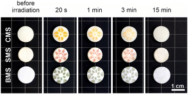 Graphical abstract: Matrix-dependent high-contrast photochromism in Eu-doped M3MgSi2O8 (M = Ca, Sr, Ba)