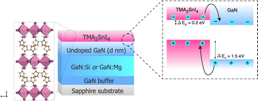 Graphical abstract: Revealing the TMA2SnI4/GaN band alignment and carrier transfer across the interface