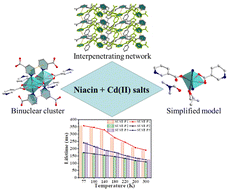 Graphical abstract: Ultralong room temperature phosphorescence in Cd-MOFs regulated by the multimode coordination configuration of niacin ligand