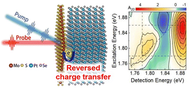 Graphical abstract: Reversed charge transfer in a type I MoS2/PtSe2 heterostructure probed by ultrafast two-dimensional electronic spectroscopy