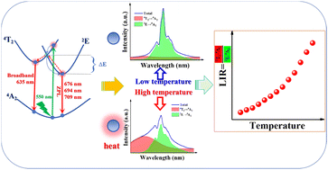 Graphical abstract: Enhancement of 4T2 → 4A2 with temperature via energy transfer of the optical thermometer Mg5Al7O16:Cr3+