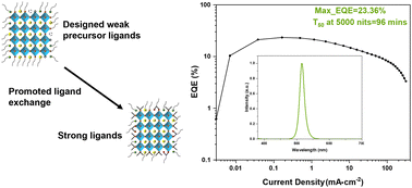 Graphical abstract: Designing efficient ligand exchange strategies for the synthesis of stable perovskite nanocrystals