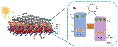 Graphical abstract: Design of a photocatalyst combining graphdiyne–Cu/NiCrO3 with Cu as an interfacial charge-transfer bridge and investigation of its photocatalytic hydrogen evolution performance