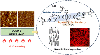 Graphical abstract: Asymmetric flexible strategies enable liquid crystalline transitions during thermal annealing of the device in organic solar cells