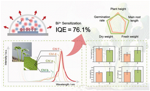 Graphical abstract: Efficient sensitization of rare-earth-free Mn4+-activated antimonate phosphor: enabling intense far-red emission for agricultural lighting