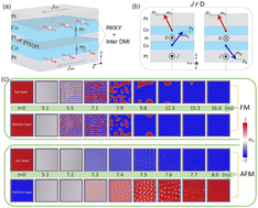 Graphical abstract: Micromagnetic dynamics in field-free magnetization switching assisted by interlayer Dzyaloshinskii–Moriya interaction
