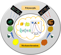 Graphical abstract: Polymorphism in mechanochromic luminogens: recent advances and perspectives