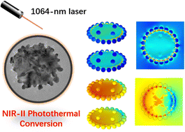 Graphical abstract: Enhancing near-infrared II photothermal conversion through anchoring numerous nanospheres to the edge of a gold nanosheet