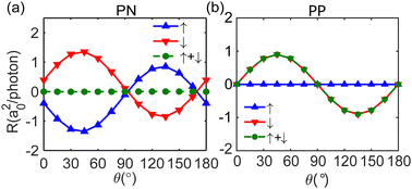 Graphical abstract: Gate controllable fully spin-polarized and pure spin current in γ-graphyne nanoribbons