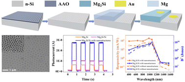 Graphical abstract: Enhanced performance of a Mg2Si/Si heterojunction photodetector grown with the assistance of nanostructures