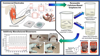 Graphical abstract: Dry electrodes with a printed cellulose–graphene ink for low-profile strain sensors in electromyography