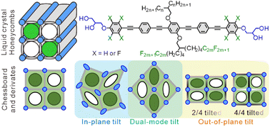 Graphical abstract: Modifying the liquid crystalline chessboard tiling – soft reticular self-assembly of side-chain fluorinated polyphiles