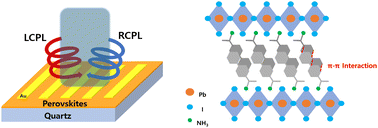 Graphical abstract: Exploring π-extended chiral ligands for the direct detection of circularly polarized light in 2D chiral perovskites
