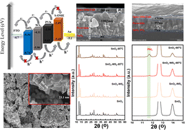 Graphical abstract: High-efficiency self-powered perovskite photodetector with an electron-enhancing SnO2/WS2 double electron transport layer