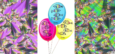 Graphical abstract: Polar-end 3,5-diarylisoxazole liquid crystals with SmA and highly ordered CrE mesophases