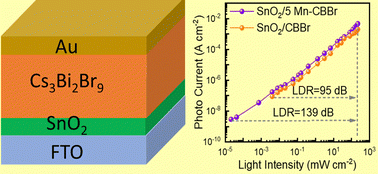 Graphical abstract: High photodetector responsivity and weak light detection in a manganese doped lead-free low dimensional perovskite
