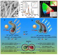 Graphical abstract: A facile neoteric technique to achieve [SrF2:Eu3+@SiO2]//[SrF2:Tb3+@SiO2] Janus yolk–shell nanofibers with ideal white-light emission via triple-inhibiting energy transfer between Tb3+ and Eu3+ ions