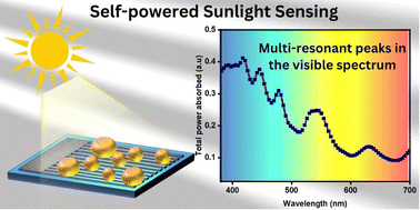Graphical abstract: Silicon meta-atom-enabled self-powered selectively patterned black silicon photodetector for real-time monitoring of sunlight
