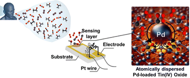 Graphical abstract: Synergistic effects of Pd single atoms and nanoclusters boosting SnO2 gas sensing performance