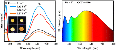 Graphical abstract: Highly efficient orange luminescence in Sn2+-doped Cs2AgInCl6 double perovskite with a large Stokes shift