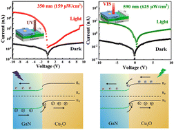 Graphical abstract: A dual-color ultraviolet-visible photodetector based on a Cu2O/GaN heterojunction: high responsivity, fast response, and high spectral selectivity