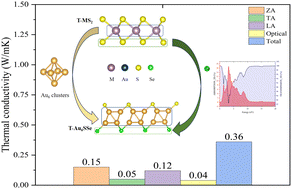 Graphical abstract: The thermal transport, optical, and mechanical properties of 1T-Au6SSe: a first-principles study