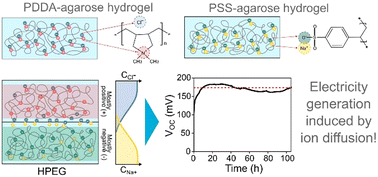 Graphical abstract: A hydrogel-ionic polymer blend for humidity-insensitive ion gradient driven electricity generation