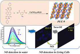 Graphical abstract: Selective and sensitive detection of nitric oxide in aqueous and biological settings using a novel fluorescent cobalt-MOF