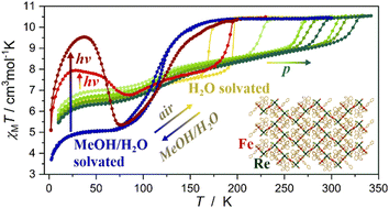 Graphical abstract: Chemically driven magnetic responsivity to multiple physical stimuli in a spin-crossover layered iron(ii)–rhenium(v) framework