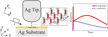 Graphical abstract: Simulations of plasmon-mediated superradiance for molecules in STM-based nanocavity