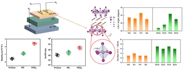 Graphical abstract: Alkylammonium passivation for 2D tin halide perovskite field-effect transistors