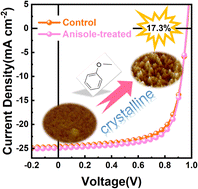 Graphical abstract: Non-halogenated solvent additive-mediated donor–acceptor phase segregation leads to efficient all-polymer solar cells