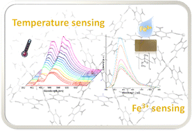 Graphical abstract: A metal–organic framework with dual fluorescent emission based on 3-aminoisonicotinate: luminescence thermometry and Fe3+ sensing in hybrid membranes