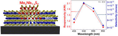 Graphical abstract: Enhanced photoresponse in 2D seamless metal–semiconductor contact photodiodes via one-step sulfurization synthesis