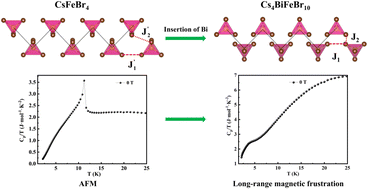 Graphical abstract: Possible gapless spin-liquid state in the Fe-based halide perovskite Cs4BiFeBr10 derived from the antiferromagnet CsFeBr4
