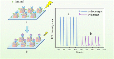 Graphical abstract: An innovative electrochemiluminescent immunosensor using dual amplified signals from AuNPs@CoSn(OH)6 for the detection of the AD biomarker: amyloid beta 1–40
