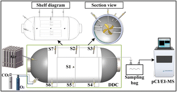 Graphical abstract: Rapid detection of multiple gas mixtures and evaluation of harmful gas removal efficiency in a deck decompression chamber using dynamic switching mass spectrometry