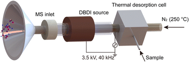 Graphical abstract: Identification of plasticizers using thermal desorption dielectric barrier discharge ionization mass spectrometry