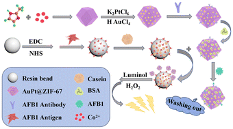 Graphical abstract: Preparation of AuPt@ZIF-67 nanomaterials and their application in a flow injection chemiluminescence immunoassay