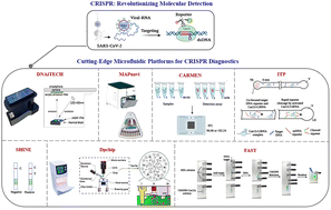 Graphical abstract: Emerging microfluidic technologies for CRISPR-based diagnostics: an overview