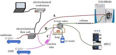 Graphical abstract: Analysis of melatonin simulated metabolism based on electrochemistry coupled online with high performance liquid chromatography-mass spectrometry