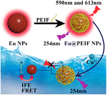 Graphical abstract: A label-free fluorescence sensing platform based on NaY0.47F4:Ce0.1,Gd0.4,Eu0.03@PEIF down-conversion for selective detection of Cu2+ in aqueous environments
