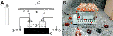 Graphical abstract: Development of a low-cost equipment alternative to the Kjeldahl distiller for the determination of total volatile basic nitrogen