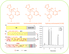 Graphical abstract: Simultaneous determination of voriconazole and its metabolites in human plasma by capillary electrophoresis with cation-selective exhaustive injection and sweeping micellar electrokinetic chromatography