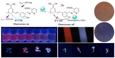 Graphical abstract: A near-infrared fluorescent probe for detecting Cu2+ and its versatile applications