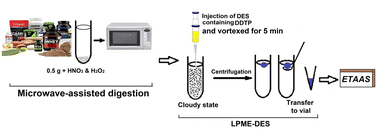 Graphical abstract: Development of an analytical procedure using acid-based hydrophobic deep eutectic solvent for the extraction and preconcentration of heavy metals in sport supplements followed by GFAAS analysis
