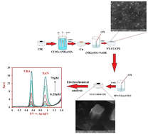 Graphical abstract: A new electrochemical sensor for the detection of uric acid and xanthine based on a carbon paste electrode coated with a metal organic framework